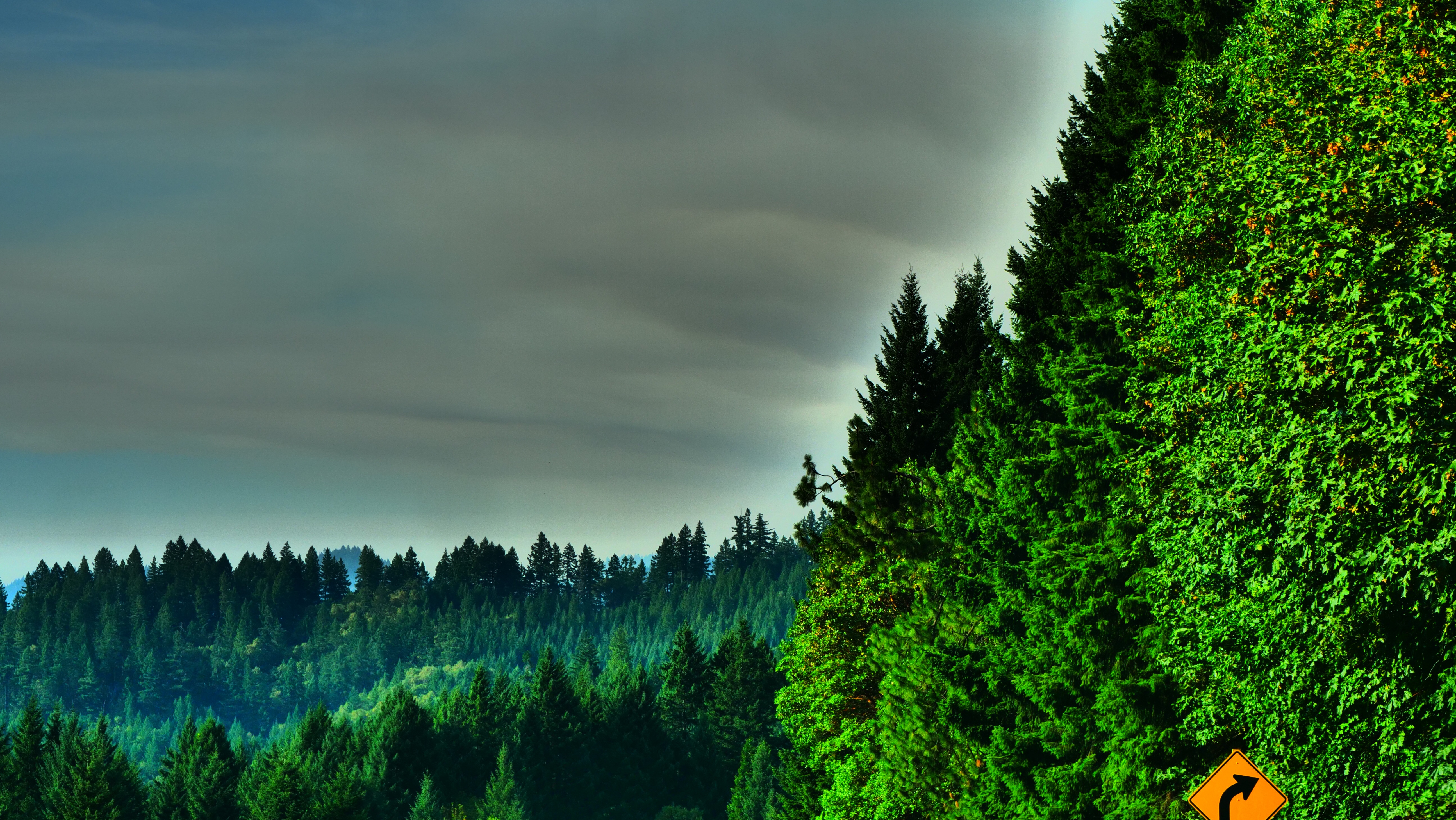 Canyonville Oregon Wildfire Grey Sky