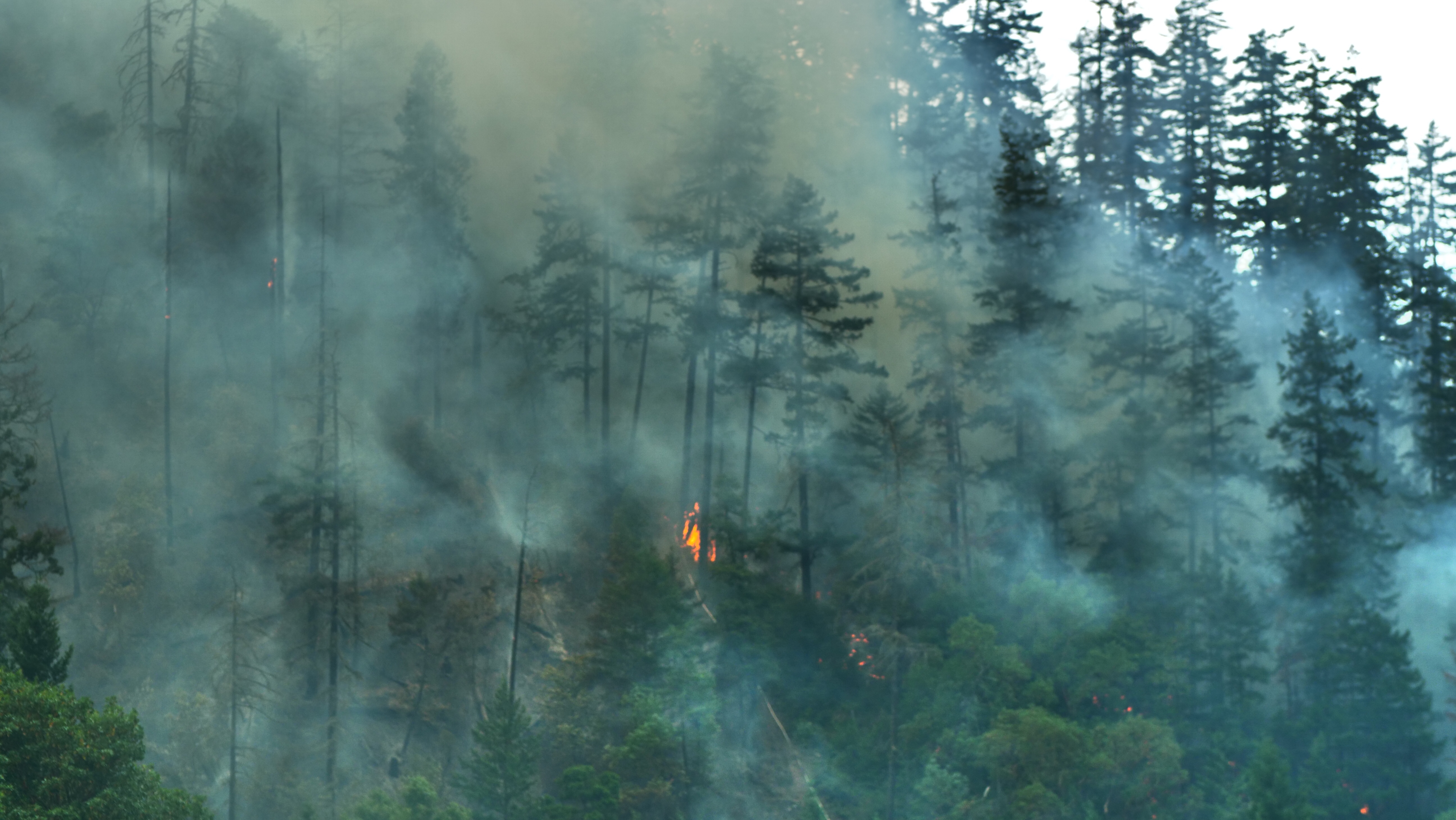 Canyonville Oregon Wildfire smoke Forrest Fire