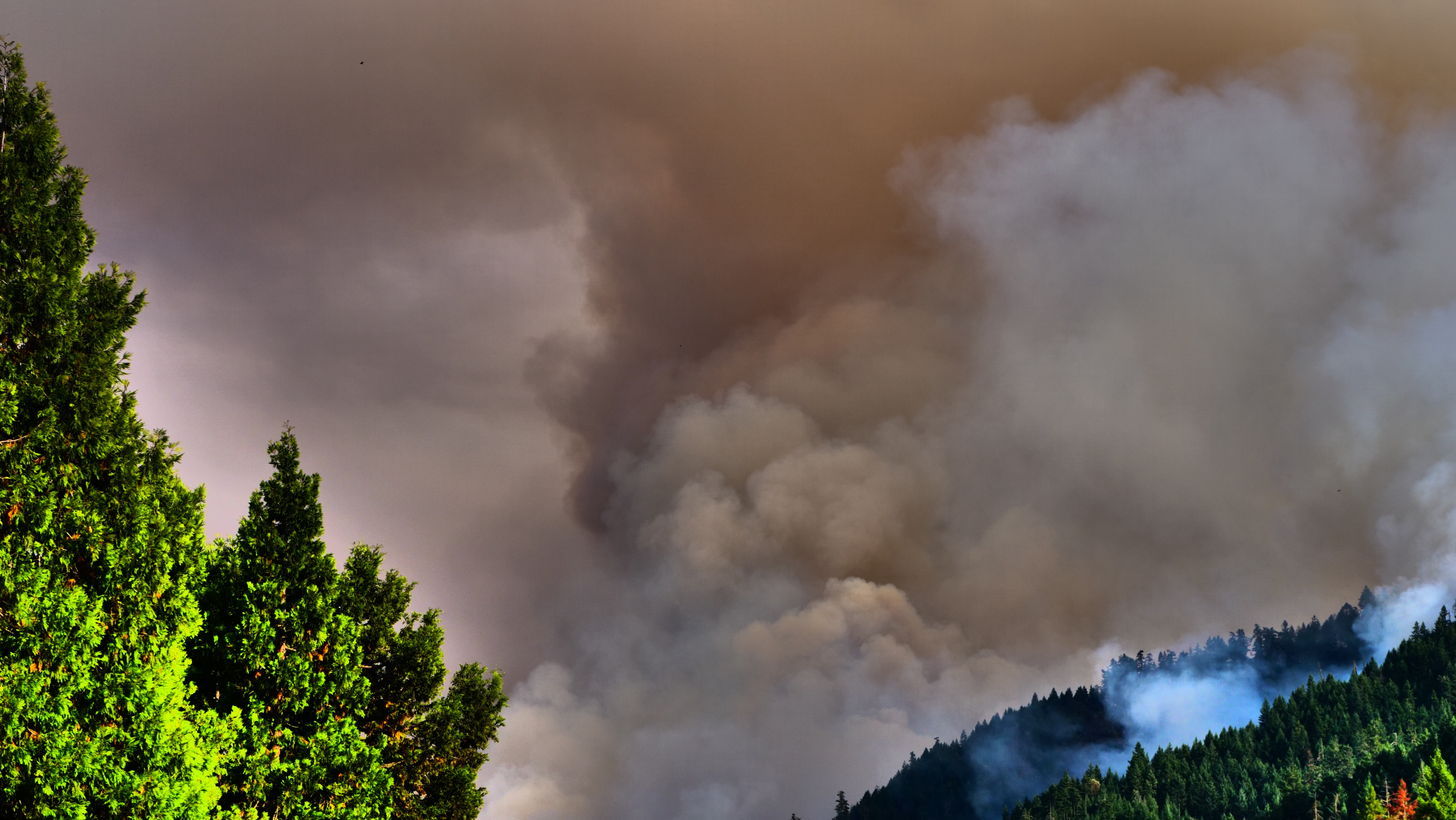 Canyonville Oregon Wildfire smoke Forrest Fire